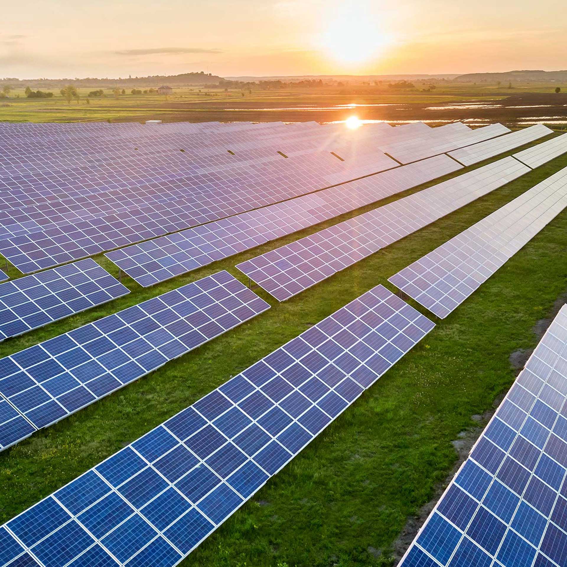 product-category1 product-category1